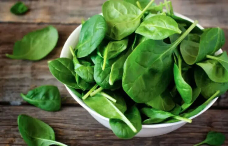 পালং শাক: পালং শাক শীতের অবিচ্ছেদ্য একটি পুষ্টিকর শাক। এতে রয়েছে আয়রন, ফোলেট, ভিটামিন–সি এবং শক্তিশালী অ্যান্টিঅক্সিডেন্ট যা রক্ত শক্তিশালী করে এবং রোগ প্রতিরোধ ক্ষমতা বাড়ায়। এই শাক নিয়মিত খেলে শরীরে শ্বেত রক্তকণিকার উৎপাদন বেড়ে যায়। ফলে শরীর সহজেই ভাইরাস, ব্যাকটেরিয়া বা অন্যান্য রোগজীবাণুর আক্রমণ প্রতিরোধ করতে পারে।