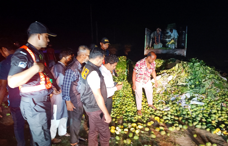 সাতক্ষীরায় ক্ষতিকর রাসায়নিক দ্রব্য দিয়ে পাকানো বিভিন্ন প্রজাতির আট হাজার কেজি আম জব্দ করেছেন র্যাব-৬ সাতক্ষীরা ক্যাম্পের সদস্যরা। রাসায়নিক দ্রব্য (কার্বাইড) মেশানো এসব আম ঢাকায় পাঠানো হচ্ছিল। গতকাল রাত ১১টা থেকে ২টা পর্যন্ত টানা তিন ঘণ্টার অভিযানে নেতৃত্ব দেন র্যাব-৬ সাতক্ষীরা কোম্পানি কমান্ডার মেজর জে এম গালিব। শহরের বাঁকাল এলাকায় অভিযানে জব্দ করা আম বুলডোজার মেশিনের চাকায় পিষে বিনষ্ট করা হয়। ছবি- জাগো নিউজ