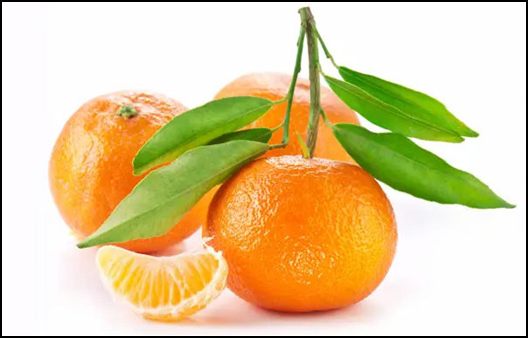 রোগ প্রতিরোধ ক্ষমতা বাড়ায়: কমলা ভিটামিন ‘সি’-এর অন্যতম প্রধান উৎস। এই ভিটামিন শরীরের রোগ প্রতিরোধ ক্ষমতা বাড়াতে গুরুত্বপূর্ণ ভূমিকা রাখে। নিয়মিত কমলা খেলে সর্দি-কাশি, জ্বর কিংবা মৌসুমি সংক্রমণের ঝুঁকি কমে যায়। বিশেষ করে আবহাওয়া বদলের সময় কমলা হতে পারে প্রাকৃতিক প্রতিরক্ষাকবচ।