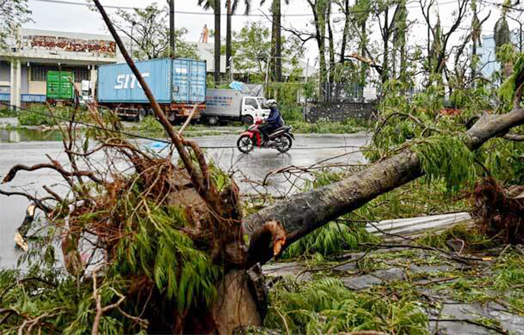 ভিয়েতনামে সুপার টাইফুন ইয়াগির আঘাতে এখন পর্যন্ত কমপক্ষে ৫৯ জন নিহত হয়েছে। এছাড়া আহত হয়েছে আরও কয়েকশ মানুষ। আজ স্থানীয় কর্তৃপক্ষ জানিয়েছে, দেশটির উত্তরাঞ্চলে শক্তিশালী এই ঘূর্ণিঝড় আঘাত হেনেছে। বিবিসির খবরে বলা হচ্ছে, চলতি বছর আঘাত হানা সবচেয়ে শক্তিশালী ঘূর্ণিঝড় এটি। ভিয়েতনামে আঘাত হানার আগে চীন এবং ফিলিপাইনে তাণ্ডব চালিয়েছে এই ঘূর্ণিঝড়। বিভিন্ন স্থানে বন্যা এবং ভূমিধসের বিষয়ে সতর্ক করেছে স্থানীয় কর্তৃপক্ষ। ছবি: এএফপি