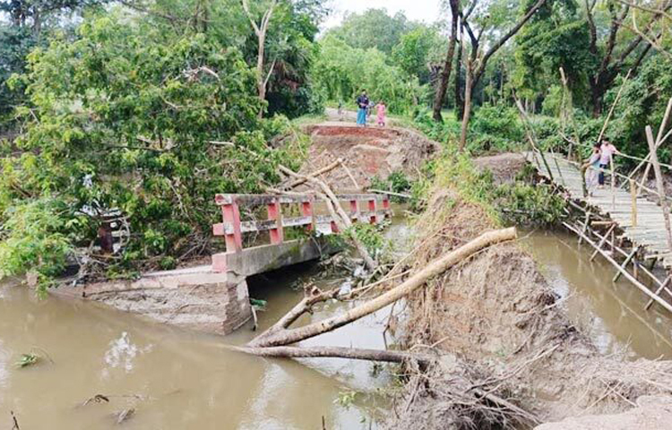 ফেনীর সোনাগাজীর চর দরবেশ ইউনিয়নের উত্তর চর সাহাভিকারী এলাকায় ব্রিজ ভেঙে বন্ধ হয়ে গেছে কাজিরহাট-কারামতিয়া হয়ে সোনাগাজীতে সরাসরি যাতায়াত। এতে চরম দুর্ভোগে পড়েছে আশপাশের হাজার হাজার মানুষ। বন্যার পানির প্রবল চাপে ও মুছাপুর রেগুলেটর ভেঙে বিলীন হওয়ায় এই ব্রিজটি ভেঙে পড়েছে। এ এলাকায় কিন্ডারগার্টেন, প্রাথমিক বিদ্যালয় ও উচ্চ বিদ্যালয়সহ চারটি শিক্ষাপ্রতিষ্ঠান রয়েছে। কোনোমতে চলাচলের জন্য স্বেচ্ছাশ্রমে একটি বাঁশের সাঁকো তৈরি করেছেন স্থানীয়রা। ছবি- জাগো নিউজ