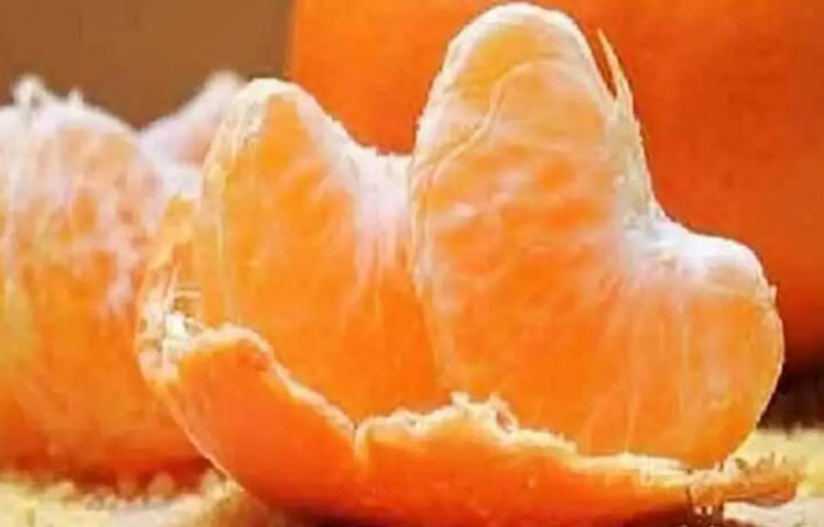 মানসিক চাপ কমাতে সহায়তা করে: কমলায় থাকা প্রাকৃতিক উপাদান মানসিক চাপ কমাতে ভূমিকা রাখে। ভিটামিন ‘সি’ স্ট্রেস হরমোন নিয়ন্ত্রণে সাহায্য করে, ফলে মন থাকে ফুরফুরে। কর্মব্যস্ত জীবনে প্রতিদিন একটি কমলা মানসিক স্বস্তিও দিতে পারে।