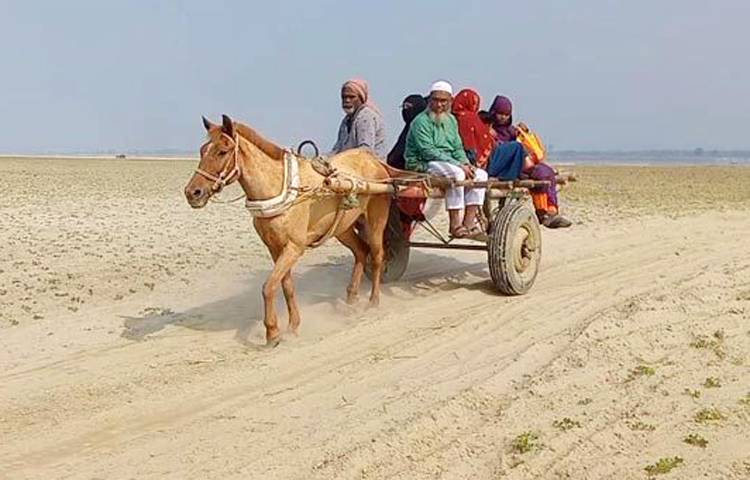 পদ্মা নদীর পাড় থেকে তাকালেই দেখা যায় শুধু ধু ধু বালুরাশি। আশপাশের প্রায় পাঁচ কিলোমিটারের মধ্যে দেখা নেই কোনো পানির চিহ্ন। যেন এক মরুপ্রান্তর। তপ্ত রোদে চিকচিক করছে বালু। সেই বালুরাশিতে দেখা মিলছে কিছু ঘোড়ার গাড়ি ও মানুষের চলাচল। এমনি এক জায়গার দেখা মিলেছে রাজবাড়ীর পাংশা উপজেলার পদ্মা নদীর হাবাসপুর খেয়াঘাটে। এ ঘাটটি পদ্মা নদীর মাধ্যমে যুক্ত হয়েছে পাবনার সুজানগর উপজেলার সাতবাড়িয়া খেয়াঘাটে। ছবি-জাগো নিউজ
