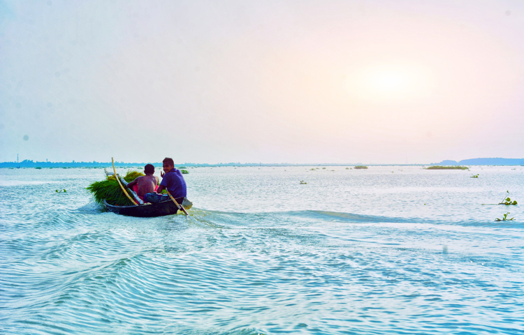 মেঘনা নদীর ওপর দিয়ে নৌকায় গাছ নিয়ে পার হচ্ছে বাবা-ছেলে। ছবি: মো. শাওন