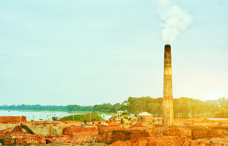 মেঘনা নদীর একপাশে গড়ে উঠেছে ইটভাটা। সেখানে তৈরি করা হচ্ছে ইট। ছবি: মো. শাওন