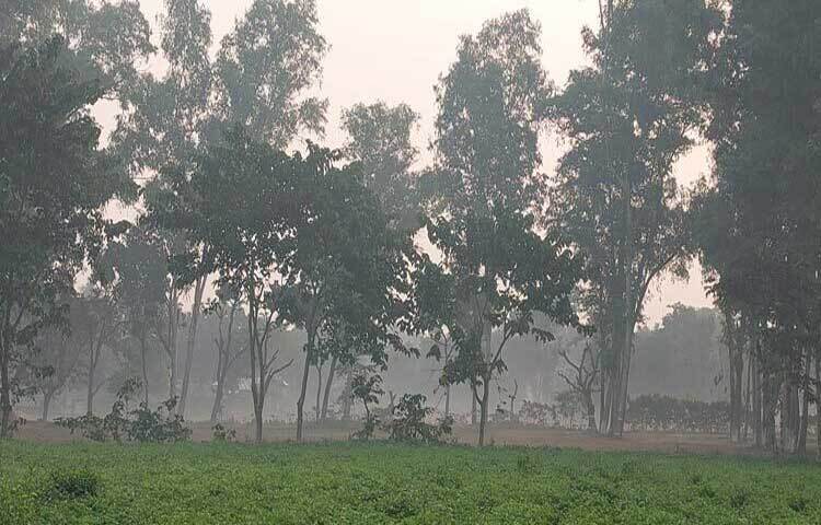 শীতের জেলা পঞ্চগড়ে টানা ছয় দিন পর কেটে গেছে মৃদু শৈত্যপ্রবাহ। আজ সকাল ৯টায় ১০ দশমিক ২ ডিগ্রি সেলসিয়াস তাপমাত্রা রেকর্ড করেছে তেঁতুলিয়া আবহাওয়া অফিস। ছবি: সফিকুল আলম