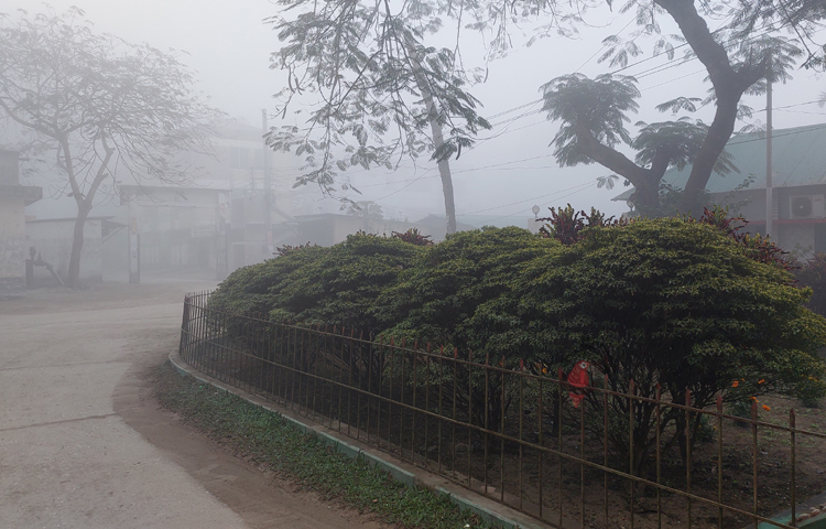 পঞ্চগড়ে কয়েকদিন ধরে রাতভর ঘনকুয়াশা থাকলেও সকালের দিকে কুয়াশা কমে এসেছে। ছবি: সফিকুল আলম