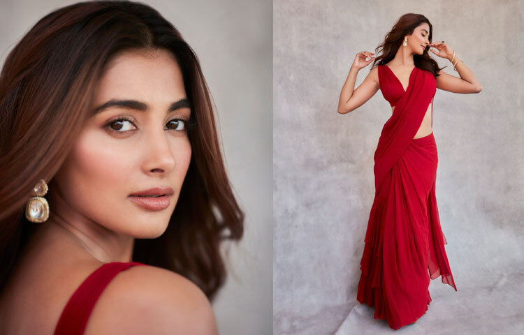 পূজা হেগড়ের ক্যারিয়ার শুরু হয় মডেলিং দিয়ে।