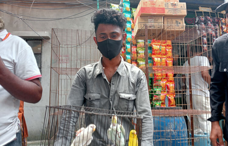 খাঁচার পাশে দাঁড়িয়ে থাকা তরুণ ক্রেতাদের কাছে খরগোশের নানা বৈশিষ্ট্য ও যত্নের ব্যাপারে তথ্য দিচ্ছেন। কথার ভিড়ে তাকে বলতে শোনা গেল, ‌‘এই খরগোশটি কিন্তু গর্ভবতী।’ খাঁচার ভেতর প্রাণচঞ্চল খরগোশগুলোর ছোটাছুটি আর নিষ্পাপ চাহনি যেন মুহূর্তেই মন ছুঁয়ে যায়। পাখির হাটে এসে এমন ভিন্ন দৃশ্য যেন দর্শনার্থীদের জন্য বাড়তি চমক।