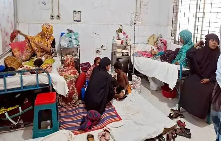 রাজবাড়ীতে হামের উপসর্গ নিয়ে রাজবাড়ী সদর হাসপাতালে ভর্তি রয়েছে ৮ জন শিশু। যার মধ্যে গত ২৪ ঘণ্টায় ভর্তি হয়েছে ৪ জন এবং উন্নত চিকিৎসার এক শিশুকে করা হয়েছে রেফার্ড।