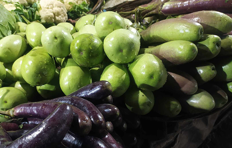 রংপুরে চিকন বেগুন ৩০-৩৫ টাকা থেকে বেড়ে বিক্রি হচ্ছে ৭০ টাকায়, মাঝারি এবং গোলবেগুনের দাম বেড়ে হয়েছে ৮০ টাকা। ছবি: জিতু কবীর