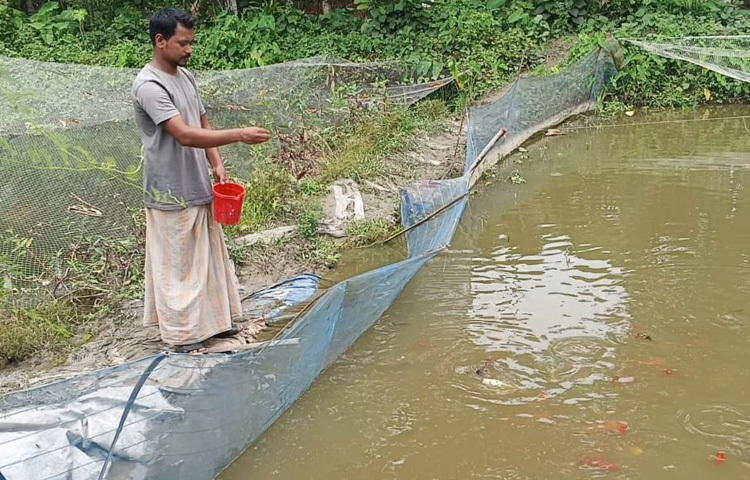 মাত্র ৩ হাজার টাকা পুঁজি, কিছু ‘অটো ব্রিড’ মাছ আর অদম্য এক ইচ্ছাশক্তি-এই দিয়েই শুরু করেন সাগর। প্রথমে বিপাকে পড়েছিলেন বাজার নিয়ে। মাছ বিক্রি করবেন কোথায়? চাহিদা আদৌ আছে কি না? সৌভাগ্যবশত একজন আগ্রহী খরিদ্দার সব শুনে মাছ কিনে নেন। সেখান থেকেই শুরু হয় আশার আলো দেখা।