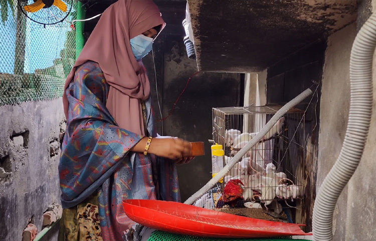 লাবনীর শুরুটা চারটি ইঁদুর নিয়ে শখের বশে হলেও এখন তার খামারে প্রায় ৪০০টি ইঁদুর। প্রতি মাসে ইঁদুর বিক্রি করে আয় করছেন অন্তত ২০ হাজার টাকা।