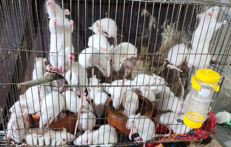 শরীয়তপুর পৌর এলাকার তুলাশার এলাকার বাসিন্দা লাবনী আক্তার। পড়াশোনা শেষ করেছেন ঢাকার খিলগাঁও মডেল কলেজ থেকে প্রাণিবিদ্যায়।