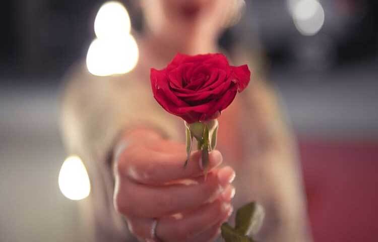 ৭ ফেব্রুয়ারি রোজ ডে। এ দিন গোলাপ দিয়ে একে অপরের প্রতি ভালোবাসা বা ভালোলাগা প্রকাশ করেন প্রেমিক-প্রেমিকা।