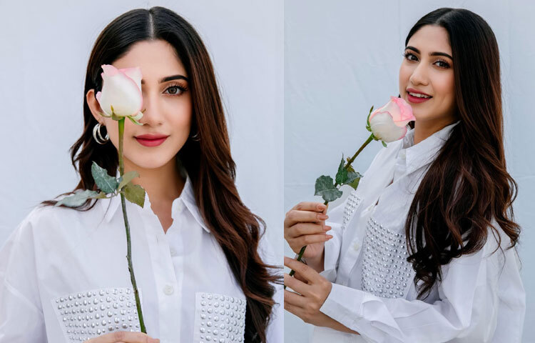 ২০১৩ সালে একটি টেলিফিল্মে অভিনয়ের মাধ্যমে মিডিয়ায় যাত্রা শুরু করেন সাফা। খুব দ্রুতই তার স্বাভাবিক অভিনয়শৈলী ও মিষ্টি হাসি দর্শকের নজর কাড়ে। একের পর এক নাটক, ওয়েব সিরিজ ও বিজ্ঞাপনে কাজ করে তিনি হয়ে ওঠেন তরুণ প্রজন্মের প্রিয় মুখ।