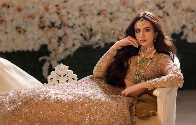 ২০১২ সালে ‘শেহর-ই-জাত’ নামের একটি নাটক দিয়ে অভিনয় জীবনে পা রাখেন এই অভিনেত্রী। এই নাটকে তিনি প্রধান চরিত্রে অভিনয় করেছিলেন। বর্তমানে তিনি সিরাজ উল হক পরিচালিত রোমান্টিক নাটক ‘সুকুন’-এ কাজ করছেন।  ছবি: সংগৃহীত