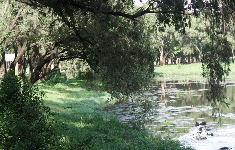 হাঁটতে হাঁটতে একদিকে যেমন দেখা মিলবে ফুলের গন্ধ, অন্যদিকে সৌধের স্থির সৌন্দর্য আপনাকে ভাবিয়ে তুলবে। পাখির কিচিরমিচির, হালকা বাতাসে পাতার শব্দ-সব মিলিয়ে যেন এক টুকরো শান্তি।