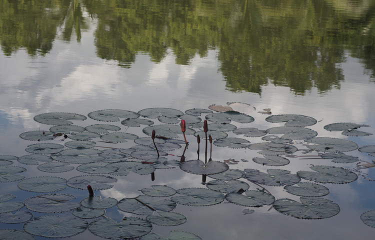 স্মৃতিসৌধের পাশেই রয়েছে একটি নয়নাভিরাম লেক, যেন প্রকৃতির আঁকা এক নিখুঁত জলচিত্র। লেকের স্থির জলে সৌধের ছায়া পড়ে তৈরি হয় আরেকটি নীরব সৌধ, জলের বুক জুড়ে ইতিহাসের প্রতিধ্বনি। হালকা হাওয়া, চারপাশের নীরবতা আর দূরে ভেসে আসা পাখির কিচিরমিচির সব মিলে এ যেন এক প্রশান্তির স্থান, যেখানে সময়ও যেন কিছুটা থমকে দাঁড়ায়।