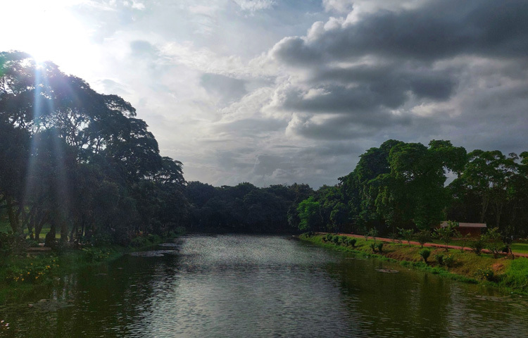 ঢাকা থেকে জাতীয় স্মৃতিসৌধের দূরত্ব প্রায় ৩৫ কিলোমিটার। যেকোনো পাবলিক বাস, প্রাইভেট গাড়ি, রাইডশেয়ারিং কিংবা বাইকযোগে সহজেই যাওয়া যায়। গাবতলী বা আসাদ গেট থেকে সাভারগামী বাসে উঠে ‘স্মৃতিসৌধ গেট’ এ নেমে পায়ে হেঁটেই প্রবেশ করা যায় মূল প্রাঙ্গণে।