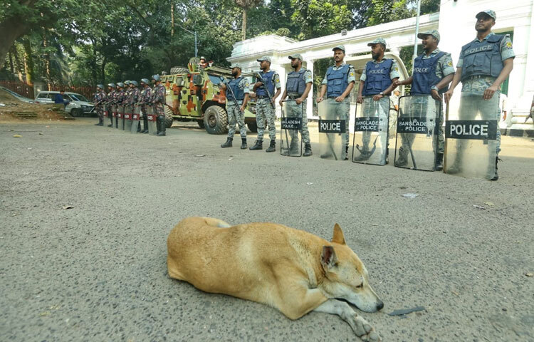 ট্রাইব্যুনালের আশপাশে স্থাপন করা হয়েছে অতিরিক্ত ব্যারিকেড। গুরুত্বপূর্ণ মোড়গুলোতে টহল দিচ্ছে সশস্ত্র বাহিনীর সদস্যরা। এছাড়া এলাকায় স্থাপন করা হয়েছে সিসিটিভি ক্যামেরা, যাতে কোনো ধরনের অনাকাঙ্ক্ষিত পরিস্থিতি এড়ানো যায়।