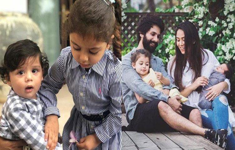 মিশা এবং জৈনকে নিয়ে সুখের সংসার শাহিদ-মিরার।