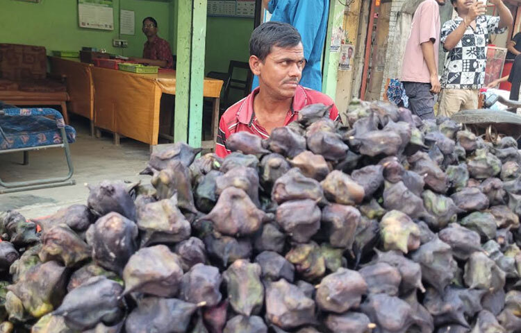 শেরপুরের নিউমার্কেটে ভ্যানে করে পানিফল বিক্রি করছেন শরাফত আলী। তিনি বলেন, ‘আমি ৫০ থেকে ৬০ টাকা কেজি দরে ফলটি বিক্রি করি। প্রতিদিন সবমিলিয়ে প্রায় ১ মণ বিক্রি হয়।’