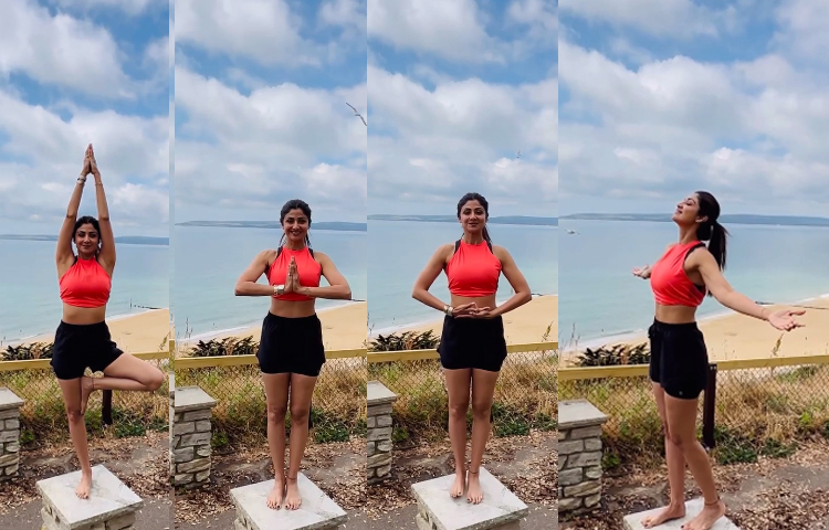 এক সময় ঘাড়ের ব্যথায় ভুগছিলেন শিল্পা। তখন তার ফিজিওথেরাপিস্ট যোগাসন করার পরামর্শ দেন। সেই থেকে নিয়মিত যোগাসন করেন এই অভিনেত্রী। এমনকি শরীর সুস্থ রাখার জন্য ব্যায়াম, যোগাসন, ডায়েট সম্পর্কিত বিষয় এবং তার উপকারিতা সম্পর্কে সামাজিক যোগাযোগ মাধ্যমে প্রশিক্ষণও দেন তিনি। ছবি: সংগৃহীত