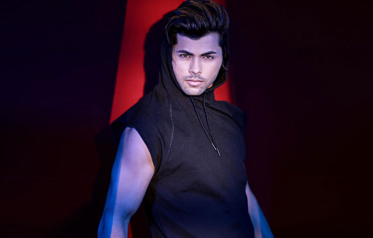 সিদ্ধার্থের যাত্রা শুরু হয়েছিল বিজ্ঞাপন দিয়ে। ছোট্ট বয়সে তিনি যখন বর্নভিটা বিজ্ঞাপনে অভিনয় করেন, তখন থেকেই নজরে আসেন। আর সেখান থেকেই টেলিভিশন ও সিনেমায় তার আসা।