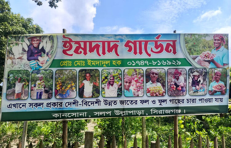 মাত্র ১০ হাজার টাকা বিনিয়োগেই শুরু হয় সবুজ যাত্রা। একসময় নতুন কিছু করার লক্ষ্যে চাকরি ছেড়ে গ্রামে ফিরে আসেন। গড়ে তোলেন ইমদাদ গার্ডেন নামে একটি নার্সারি প্রতিষ্ঠান।