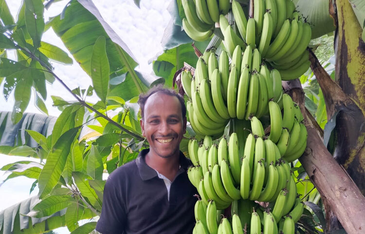 চাকরির চেয়ে নার্সারি ব্যবসায় সুন্দরভাবে চলতে পারেন ইমদাদুল। তার নার্সারিতে আম, লিচু, জাম, পেয়ারা, মাল্টা থেকে শুরু করে চায়না কমলা ও আঙুরের মতো আকর্ষণীয় জাতের চারা পাওয়া যায়। ‎সারাদেশে চারা সরবরাহ করেন। বিশেষ করে চায়না কমলা ও আঙুরের চারা বেশ জনপ্রিয় হয়ে ওঠে। বৃষ্টির কয়েক মাস সবচেয়ে বেশি চারা বিক্রি হয়। অনলাইন ও অফলাইনে চারা বিক্রি হয়। তবে অনলাইনেই বেশি সাড়া মেলে। গত ৬ মাসে ১২ লাখ টাকার মতো চারা বিক্রি করেছেন, যা একসময় কল্পনাতেও ছিল না।