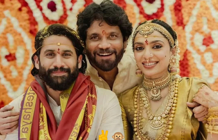 বন্ধুবান্ধব ও পরিবারের সদস্যদের উপস্থিতিতে রাজকীয় আয়োজনেই তাদের বিয়ে সম্পন্ন হয়।