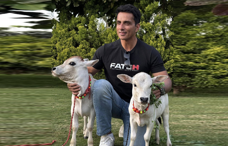 সেই সময় যখন হাজারো অভিবাসী শ্রমিক পথহারা হয়ে পড়েছিলেন, যখন সরকার, প্রশাসন অনেকক্ষেত্রে ব্যর্থ হয়ে যাচ্ছিল, তখন পাশে এসে দাঁড়িয়েছিলেন সোনু সুদ। ব্যক্তিগত উদ্যোগে তিনি যেমন শ্রমিকদের বাড়ি পৌঁছে দিয়েছিলেন, তেমনি অসুস্থ মানুষদের চিকিৎসার জন্য অ্যাম্বুলেন্স, ওষুধ, এমনকি চাকরির ব্যবস্থাও করেছিলেন।