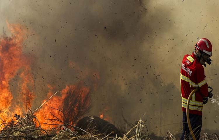স্পেনে ভয়াবহ দাবানলে একজন নিহত হয়েছেন এবং হাজারো মানুষকে নিরাপদে সরিয়ে নেওয়া হয়েছে। প্রচণ্ড তাপদাহ ও ঝোড়ো হাওয়ার কারণে দেশটির বিভিন্ন অঞ্চলে দাবানল ছড়িয়ে পড়ে। ছবি: এএফপি