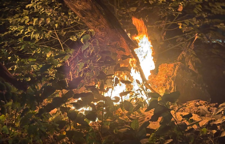 ১৮ ডিসেম্বর দিনগত রাত ১ টায় সরেজমিনে গিয়ে দেখা যায়, বিক্ষুদ্ধ ছাত্র-জনতা ধানমণ্ডির ৩২ নং বাড়ির আশপাশে বেশ কয়েকটি স্থানে আগুন জ্বালিয়ে বিক্ষোভ করছে ছাত্র-জনতা।