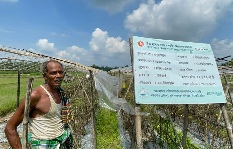 সীতাকুণ্ড কৃষি বিভাগ সূত্রে জানা গেছে, পানি সাশ্রয়ের মাধ্যমে কৃষকদের এই দুরবস্থা দূর করতে উপজেলা কৃষি বিভাগের উদ্যোগে প্রথমবারের মতো পরীক্ষামূলক ড্রিপ ইরিগেশন পদ্ধতি ব্যবহার করে নতুন প্রজাতির বারি-৮ জাতের টমেটো চাষ করা হয়েছে। কৃষি বিভাগের উৎসাহে পরীক্ষামূলক এ চাষ করে এরই মধ্যে চমকপ্রদ সাফল্য পেয়েছেন নুনাছড়া এলাকার কৃষক মো. আবু তাহের।