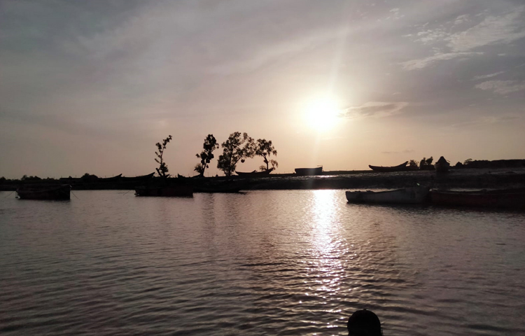 প্রকৃতির আরেক নাম মুহুরি। যেখানে আছে আলো-আঁধারের খেলা। মুহুরির চর, যেন মিরসরাইয়ের ভেতর আরেক মিরসরাই। ছবি: এম মাঈন উদ্দিন