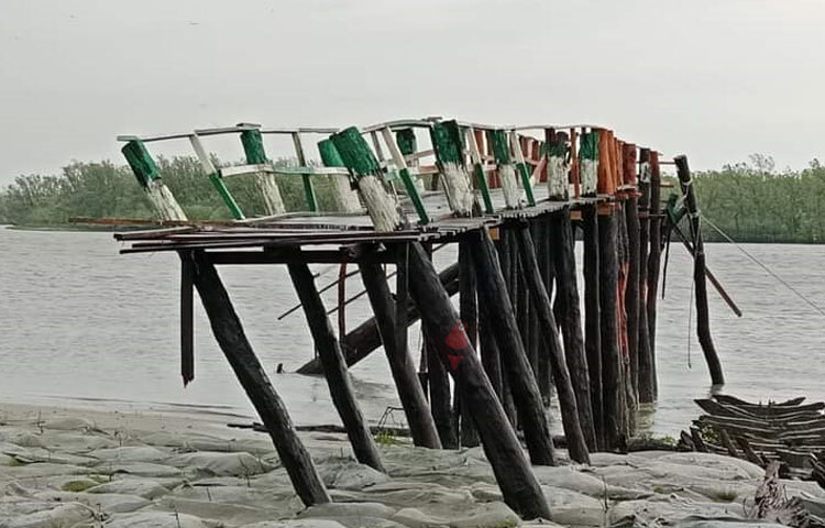 ঘূর্ণিঝড় রিমালের তাণ্ডবে ব্যাপক ক্ষয়ক্ষতি হয়েছে সুন্দরবনের। ঝড়ের কবলে মারা পড়েছে হরিণসহ অন্যান্য প্রাণী। ছবি: আবু হোসাইন সুমন