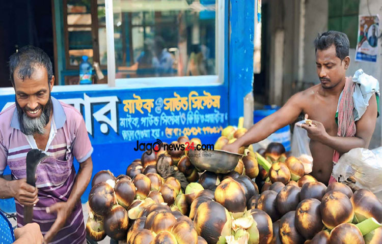 গরমে অতিষ্ঠ জনজীবনে স্বস্তি দিতে যশোরের অভয়নগর উপজেলার বিভিন্ন বাজারে মিলছে সুস্বাদু তালের শাঁস। দামে সস্তা হওয়ায় বিক্রি হচ্ছে ব্যাপক হারে। ছবি: মিলন রহমান