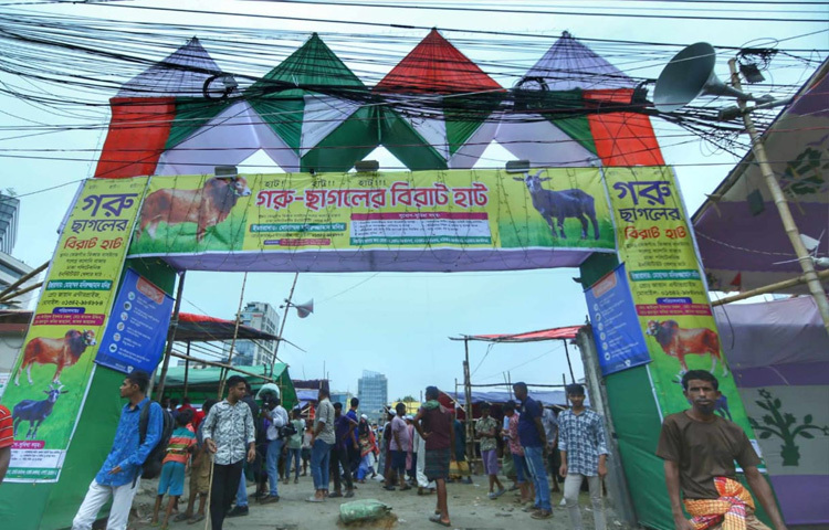 বেচাকেনা এখনও গতি পায়নি। বেশিরভাগ ক্রেতা এসেছেন দেখতে। অনেকে পরিবার নিয়ে এসেছেন আগাম খোঁজখবর নিতে। দাম, ওজন, জাত-সব মিলিয়ে তুলনা চলছে পুরোদমে।