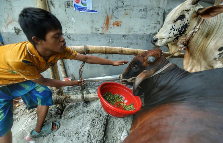 আসন্ন ঈদুল আজহাকে সামনে রেখে ঢাকার এই হাটটি ধীরে ধীরে জমে উঠছে।