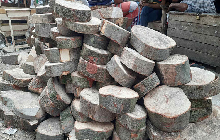 ঈদুল আজহার দিন কোরবানির পশুর মাংস কাটতে খাটিয়ার (গাছের গুঁড়ি) গুরুত্ব অপরিহার্য। তাই কোরবানি উপলক্ষে বরিশালে তেঁতুলের খাটিয়ার কদর সবচেয়ে বেশি থাকে। ছবি: শাওন খান