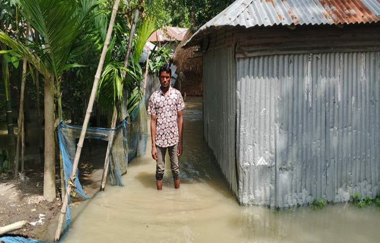 তিস্তা নদীর পানি ১২ ঘণ্টার ব্যবধানে বিপৎসীমার নিচে নেমে এসেছে। সকাল ৯টায় হাতীবান্ধার তিস্তা ব্যারেজ ডালিয়া পয়েন্টে পানি প্রবাহ রেকর্ড করা হয়েছে ৫২ দশমিক ৭ মিটার, যা বিপৎসীমা (৫২ দশমিক ১৫ মিটার) থেকে ৮ সেন্টিমিটার নিচে। ছবি: মহসীন ইসলাম শাওন