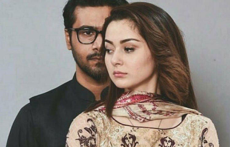 চলচ্চিত্রের পাশাপাশি টেলিভিশন নাটকেও হানিয়া সমানভাবে জনপ্রিয়। ‘তিতলি’, ‘বিশরি রাহ গুজারিশ’, ‘আনা’, ‘মেরে হামসফর’ কিংবা সাম্প্রতিক ‘মুঝে পেয়ার হুয়া থা’-প্রতিটি নাটকেই তিনি ভিন্ন ভিন্ন চরিত্রে নিজেকে তুলে ধরেছেন।