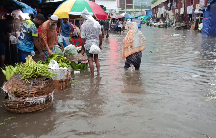 হাঁটুপানি ডিঙিয়ে ক্রেতা-বিক্রেতারা বাজারে যাতায়াত করছেন, কেউ ভ্যানে, কেউ কাঁধে কিংবা হাতে করে টেনে নিচ্ছেন সবজির ঝুড়ি। এমন ভোগান্তির মধ্যে সবচেয়ে বেশি বিপাকে পড়েছেন খোলা আকাশের নিচে বসা ক্ষুদ্র সবজি বিক্রেতারা।