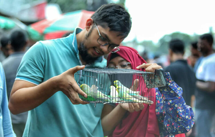 রোববার সকাল হতেই হাটে জড়ো হতে থাকেন পাখি, কবুতর, হাঁস, মুরগি এবং বিড়ালপ্রেমীরা। কেউ নিজের পোষা প্রাণী বিক্রির জন্য নিয়ে আসেন, আবার কেউ বা নতুন করে শখের প্রাণী খুঁজতে আসেন।