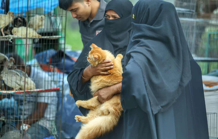 হাটে পাখির পাশাপাশি পোষা বিড়ালের উপস্থিতিও নজরকাড়ে। দেশি-বিদেশি জাতের বিড়াল চোখে পড়বে এই বাজারে।