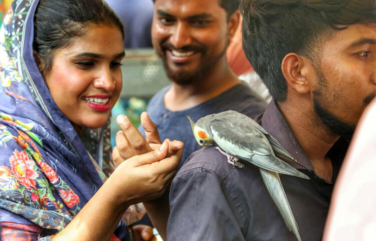 আবার মাঝে মাঝে দেখা মেলে বিরল প্রজাতির পাখিরও, যা শখের সংগ্রাহকদের জন্য বাড়তি আনন্দের। অনেকেই এ হাট থেকে পাখি কিনে খাঁচায় সাজিয়ে রাখেন, কেউ আবার খোলা ছাদে তাদের উড়তে দেন।