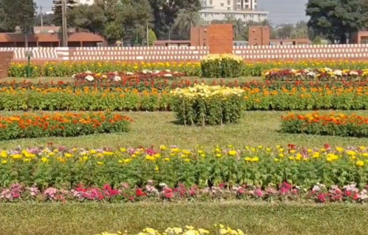 জাতীয় স্মৃতিসৌধ প্রাঙ্গণে সৌন্দর্য বর্ধন করা হয়েছে। গণকবর ও শহীদ বেদী, পায়ে চলা পথসহ সৌধ এলাকা ধুয়ে মুছে পরিষ্কার-পরিচ্ছন্ন করা হয়েছে। লেক সংস্কার ও আলোকসজ্জা কাজও হয়েছে।