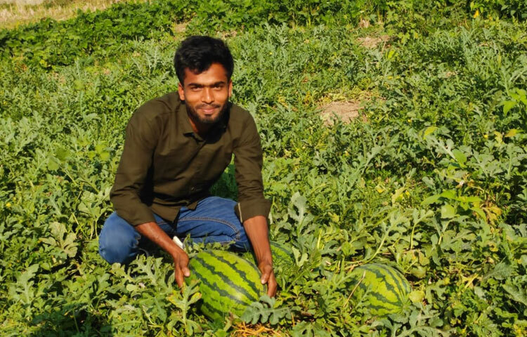 বর্তমানে লিজ নেওয়া প্রায় ২০-২২ বিঘা জমিতে এসব চাষ করেন তিনি। প্রতি বিঘা জমির বার্ষিক ভাড়া ১৫-২০ হাজার টাকা। চলতি শীত মৌসুমের শুরুতেই ৩১ লাখ ৪০ হাজার টাকার আগাম শাকসবজি বিক্রি করেছেন এই তরুণ।